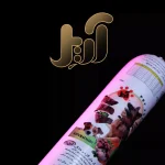 ژامبون ویژه غذای سگ آریل