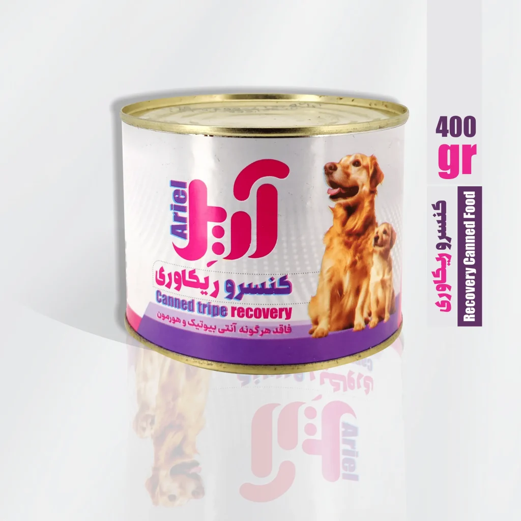کنسرو غذای سگ-ریکاوری
