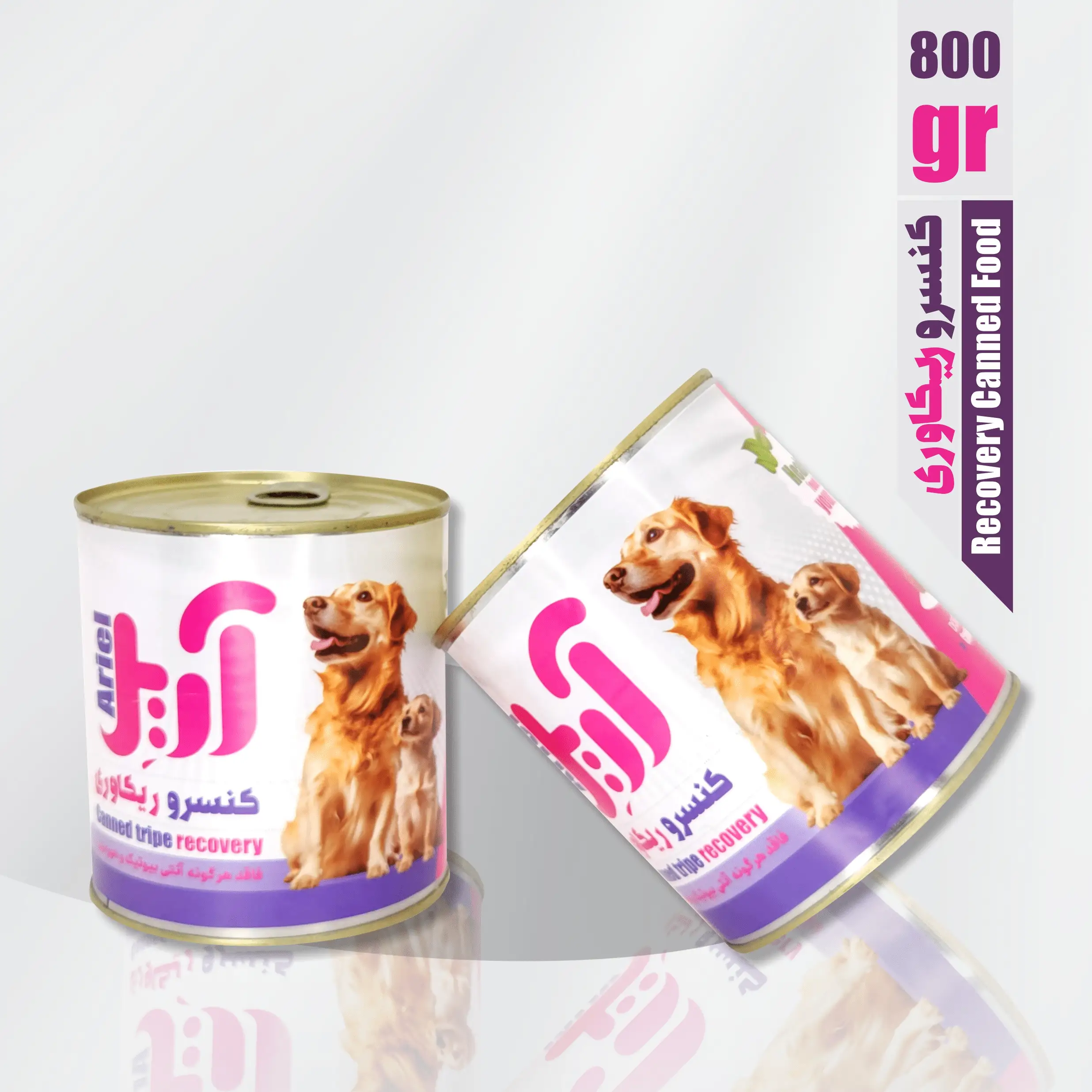 کنسرو غذای سگ-ریکاوری-800گرمی