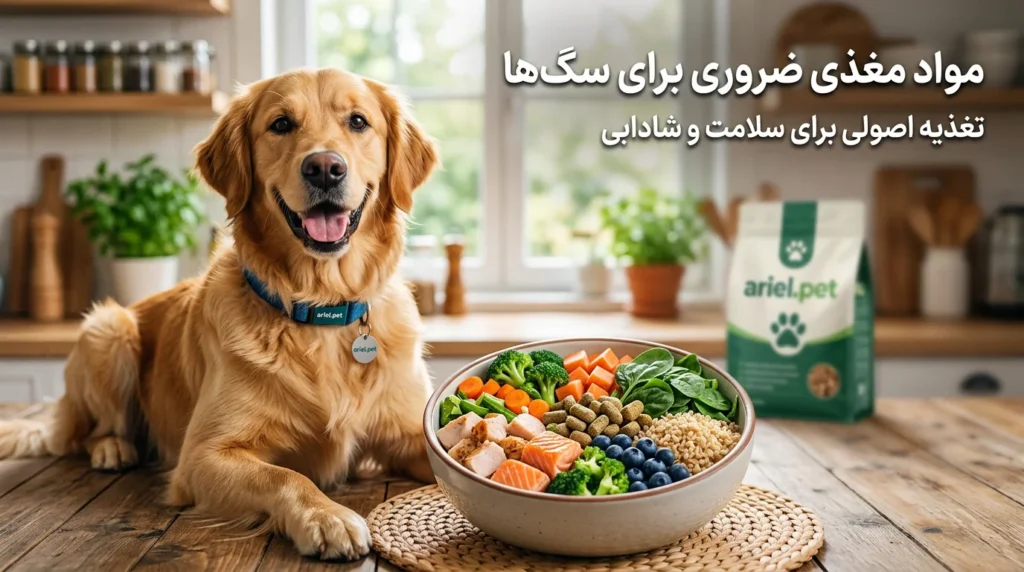 مواد مغذی ضروری برای سگ‌ها ، مهم‌ترین مواد غذایی مورد نیاز سگ چیست؟